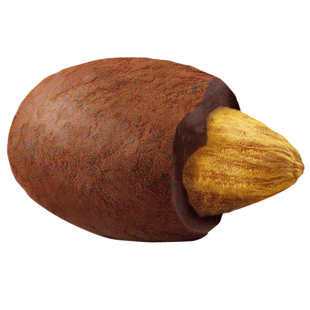 Hellma Mandel In Der Kakaohülle